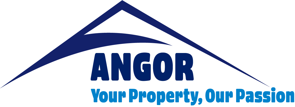 www.angor.co.za