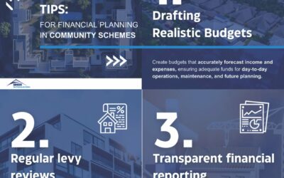 Tips for Financial Planning in Community Schemes